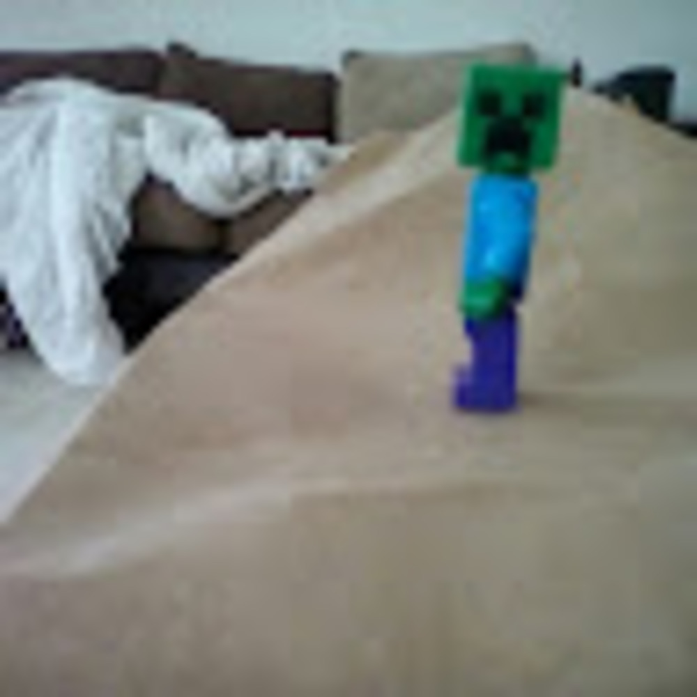 Meet your Posher, The creeper steve46589